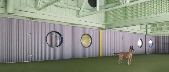 为动物而造的建筑