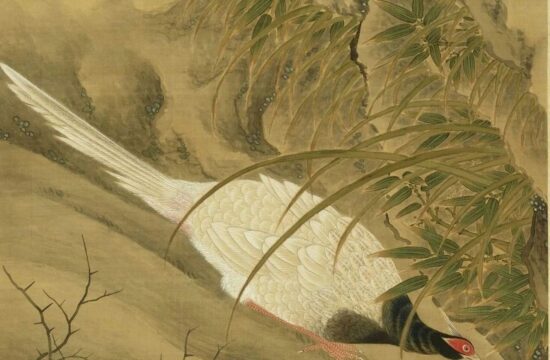 张伟《写生花卉册》雅赏