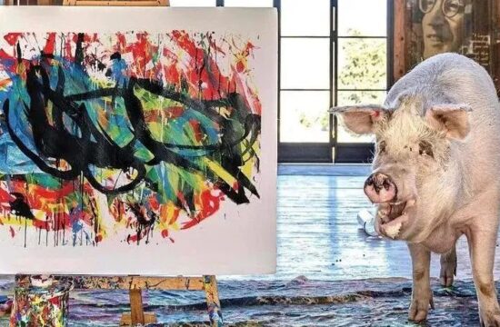 一只猪画的画竟卖到17万，让艺术家情何以堪