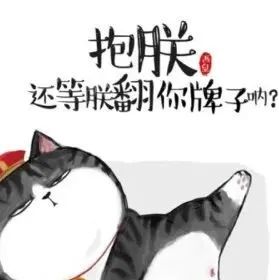 做设计经常性没灵感！你该养只猫了！