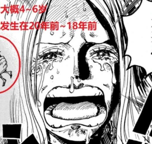 海贼王：真正的波尼或许已死，现在的波尼是个克隆体？