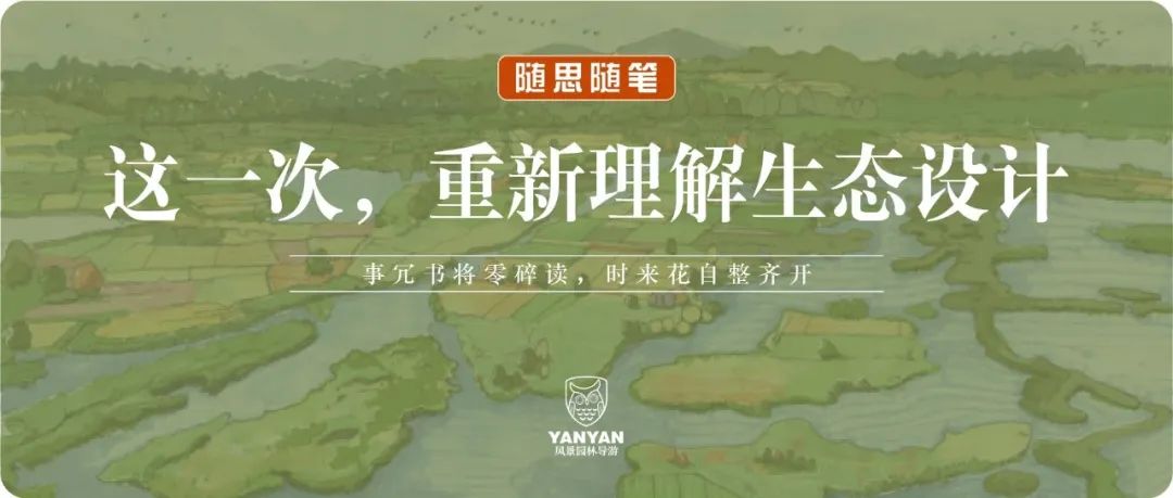 【旧文补发】这一次，重新理解生态设计（下）