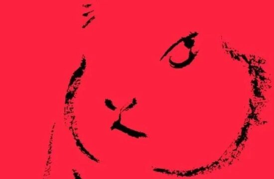 DOMANI 东仓 | 癸卯春招