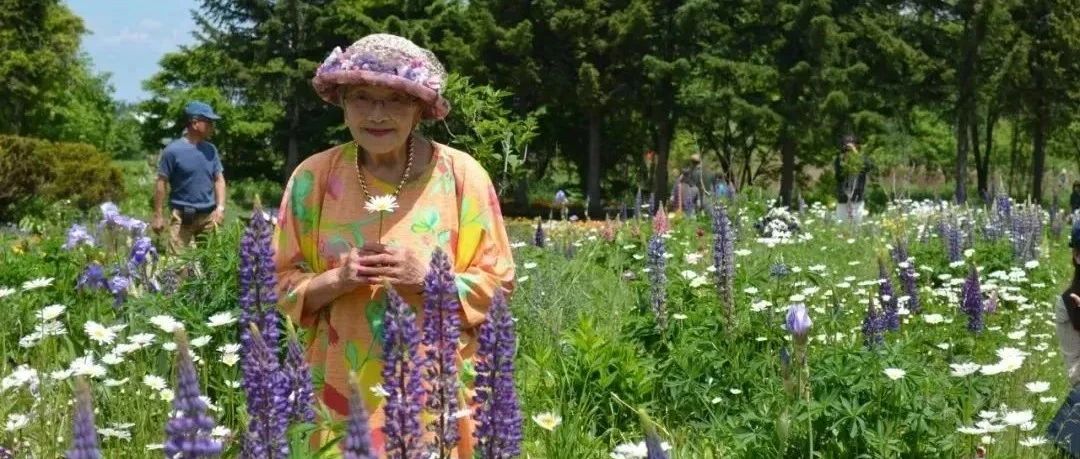 又一位90多岁塔莎花园，日本紫竹花园。