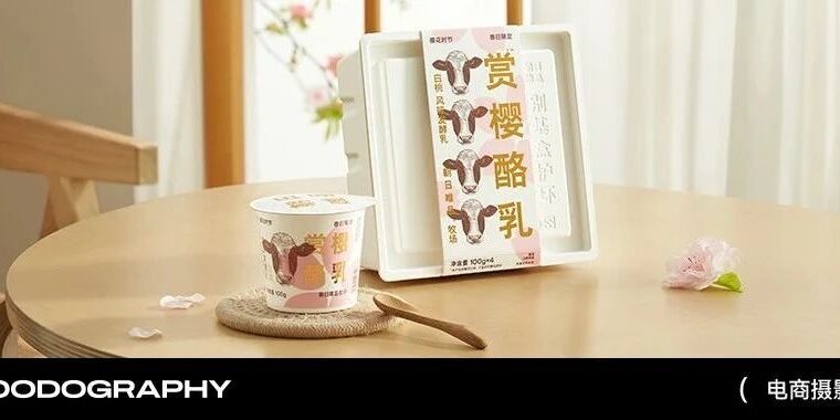 美食摄影 | 朝日唯品赏樱乳酪 X foodography