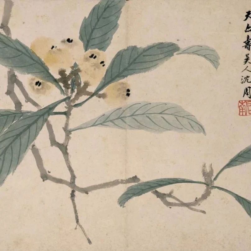 沈周，文人花鸟画的一代转折者