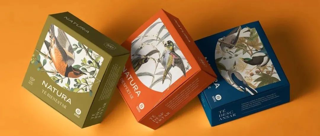 花茶系列包装设计