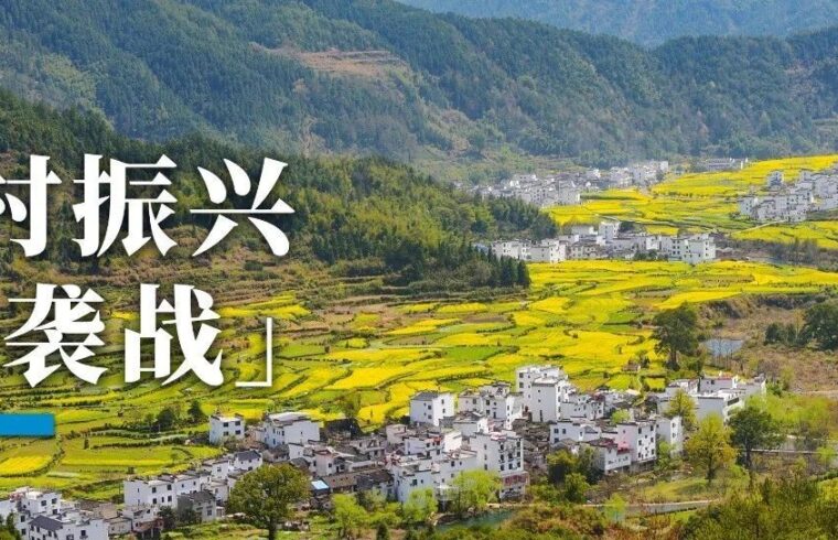 乡村振兴的「逆袭战」
