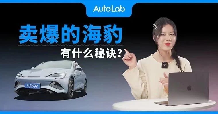 卖爆的海豹，有什么秘诀？