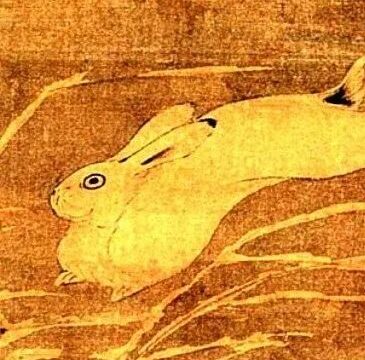 这只兔子画得精彩！