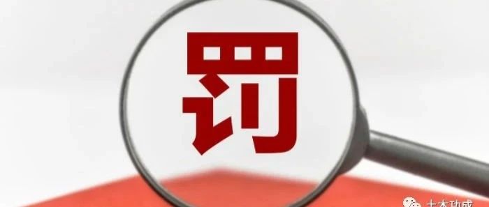 被罚没9500余万，找教授挂靠，吊销资质，破产......