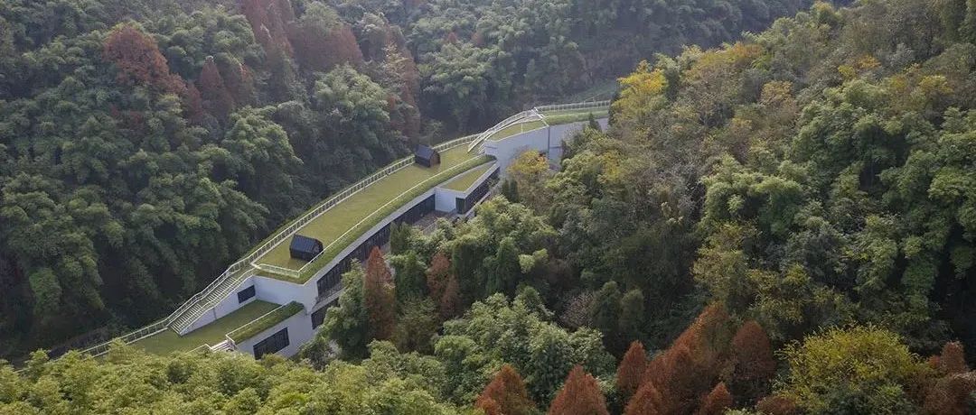 山谷里的童年奇遇 | 合景 · 金苹果云上森林营地