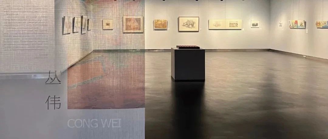 艺术家资讯｜丛伟参展江苏省美术馆 “多元∞计划：2022江苏省青年美术家提名展——形于颜色”