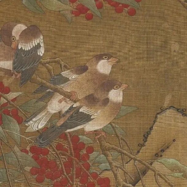 《鹡鸰和花椒》雅赏