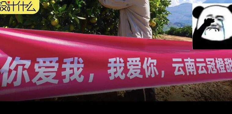 笑死个人，他们把双11横幅拉到田里去了、横幅全是梗