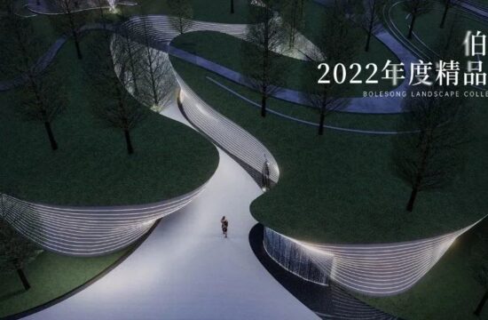 BLSI | 2022年度精品项目盘点