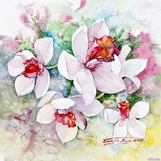 插画师Ryu Eunja水彩花卉绘画作品欣赏