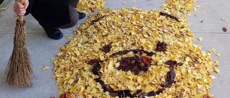这个日本老师扫得了大街，画得了板报，网友感叹：别人的老师