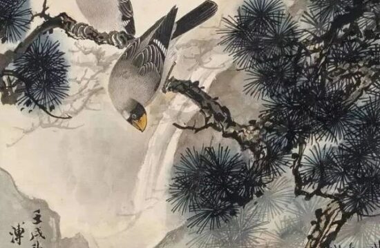 名家画松95幅，一次看个够