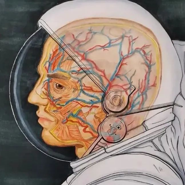 灵魂画手！医学生手绘人体解剖图，火爆全网：又美又惊悚