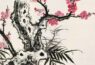 谢稚柳 花鸟画梅花