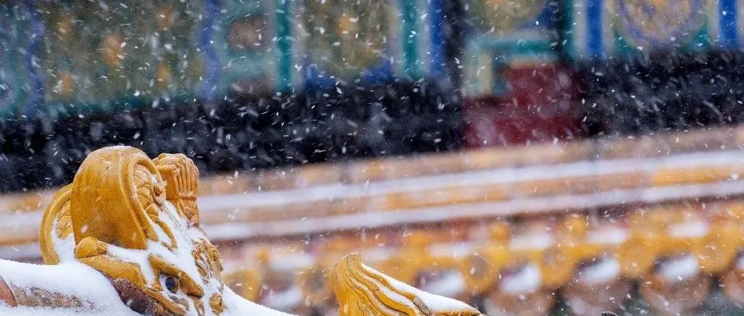 故宫初雪太美了！你们等的600年紫禁城美图已发货