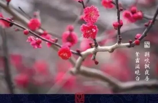 冬至：大雪寻梅 （另附水墨画梅帖）