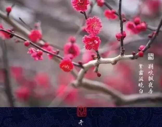 冬至：大雪寻梅 （另附水墨画梅帖）