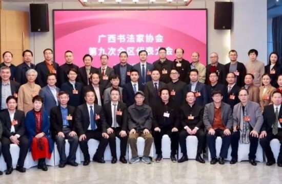 年仅36岁的杨科云当选广西书协主席