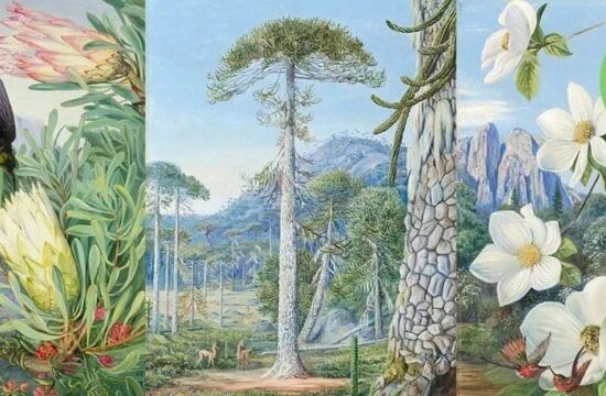 40岁时开始独自旅行，她走遍6大洲16个国家，画下人迹罕至处的绝美景色