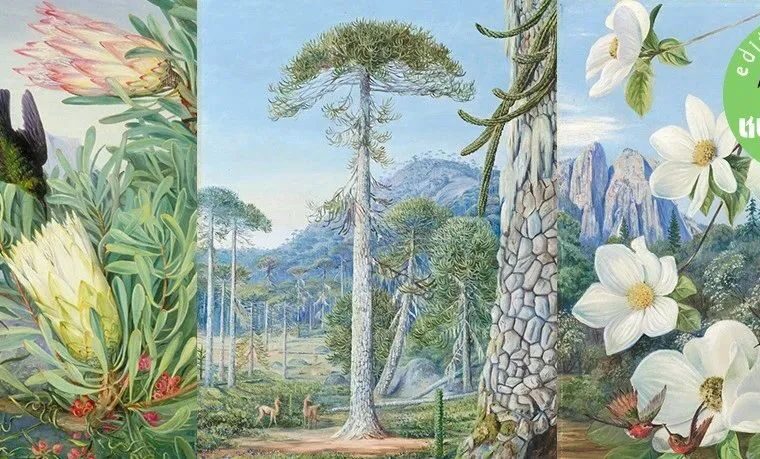 40岁时开始独自旅行，她走遍6大洲16个国家，画下人迹罕至处的绝美景色