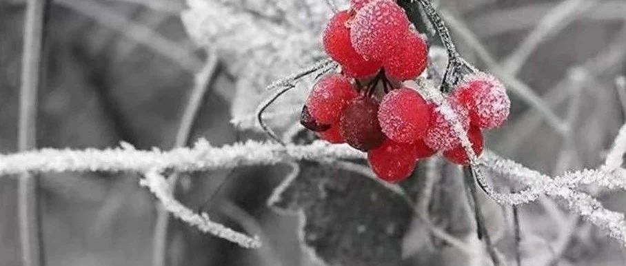 林清玄：从食物看人的性格
