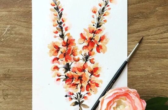 花卉水彩插画艺术，绝美！
