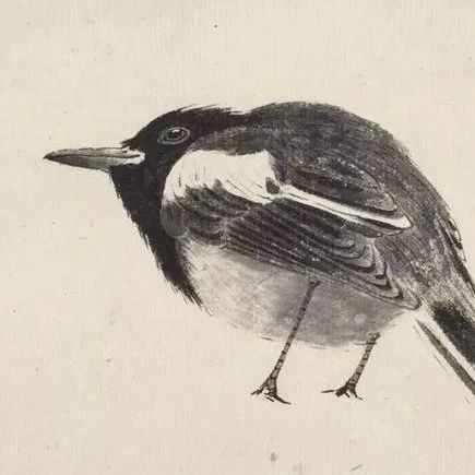 这画中的小鸟，都很萌！