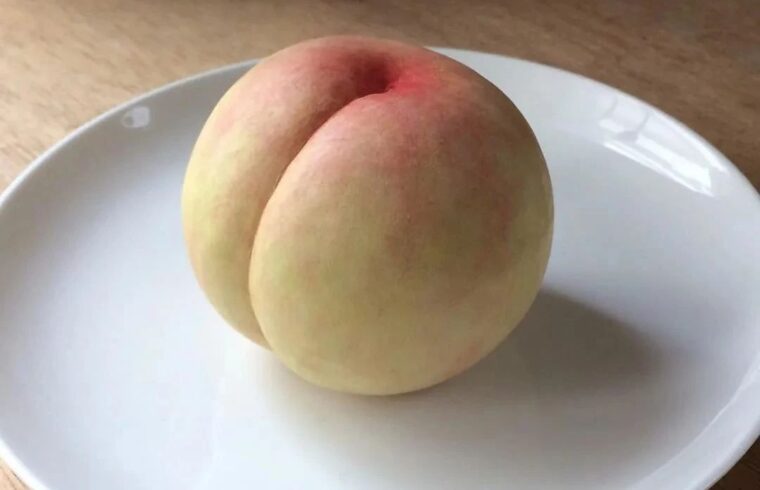 他用木头做美食，却只能看不能吃，“吃货”急得直跺脚