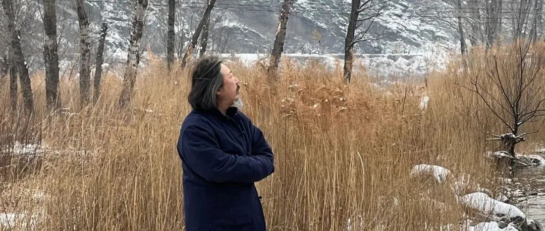 党震，荒寒中重溯宋人野逸