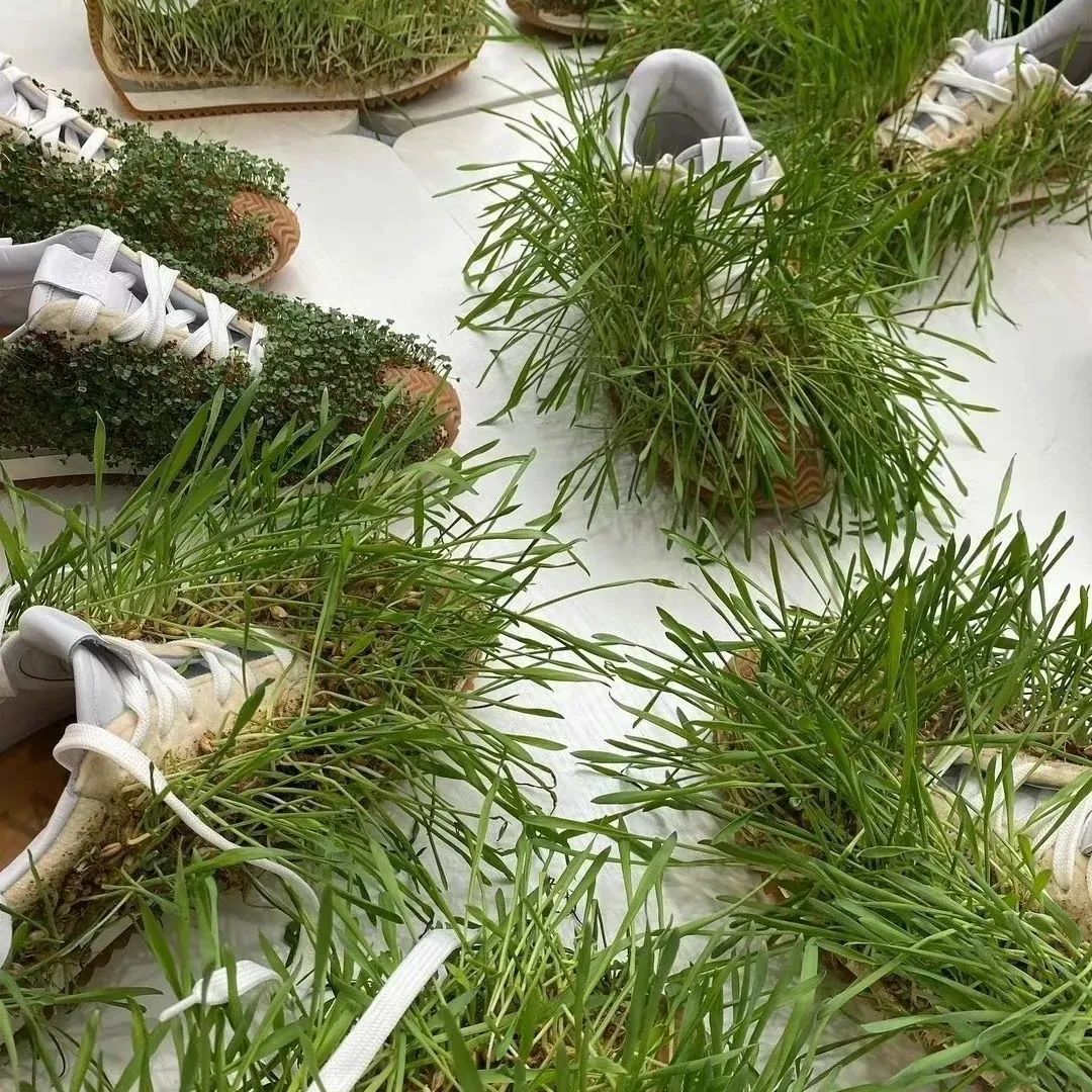 强行“种草”——人类和大自然的共生，设计师花了20天栽培了张满草的男装，来自LOEWE的巨大脑洞！