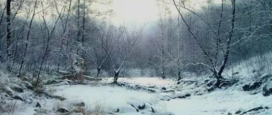 陶世虎写实水彩自然风景作品赏析