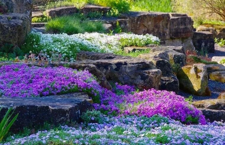 看了这个花园才知道：岩石花园居然这么美！