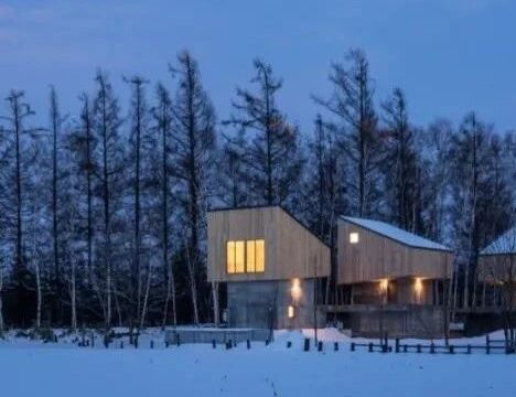 融入北海道白桦林的小木屋旅宿 / 佐野健太