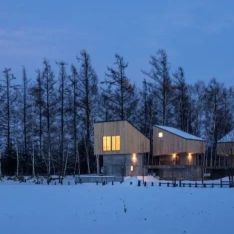 融入北海道白桦林的小木屋旅宿 / 佐野健太