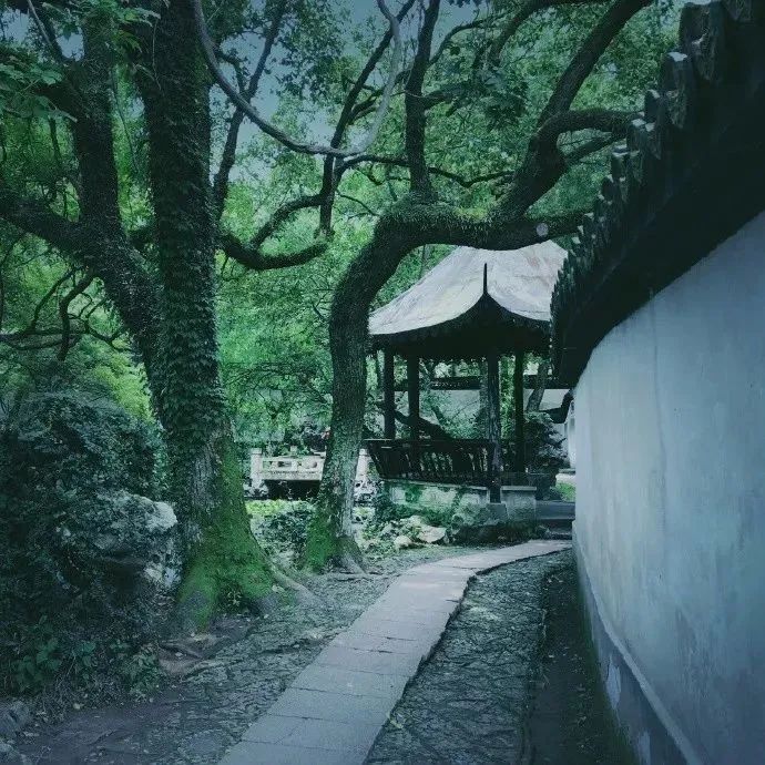 心中有风景，人生有诗意。