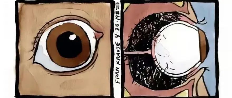 胆小误入！翻墙才能看到的恐怖漫画，吓得我头皮发麻...
