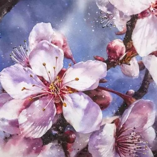林金哲绘画作品