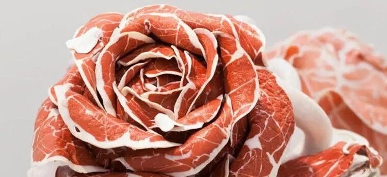 肉食动物的盛宴，这位特别的艺术家，送你一朵肉花