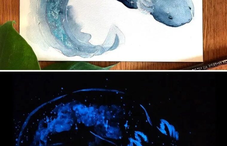 会发光的水彩画，白天平平无奇，夜晚酷到飞起