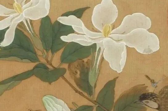这折枝花鸟精美