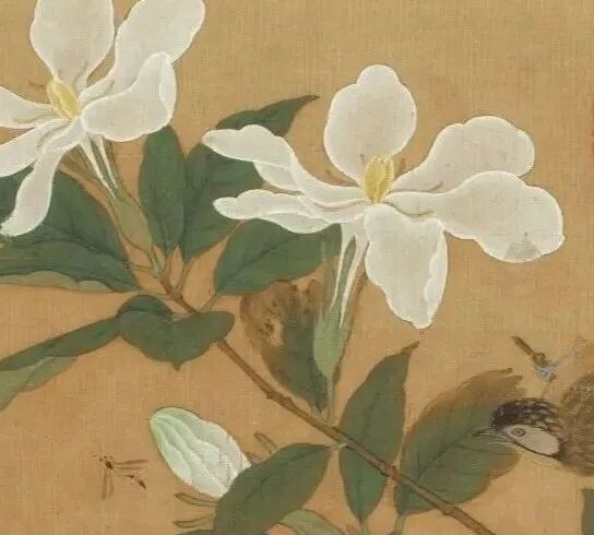 这折枝花鸟精美