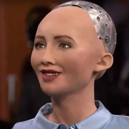 著名AI机器人Sophia将居住在元宇宙中