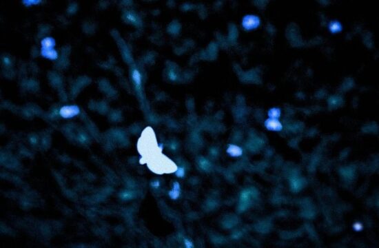 想象和现实交汇的地方